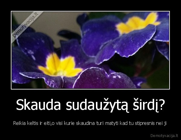 Skauda sudaužytą širdį?