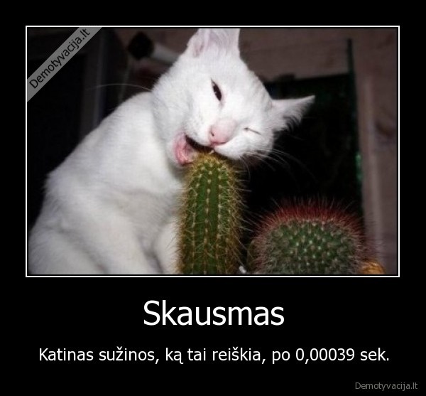 skausmas