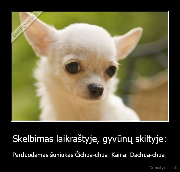 Skelbimas laikraštyje, gyvūnų skiltyje: