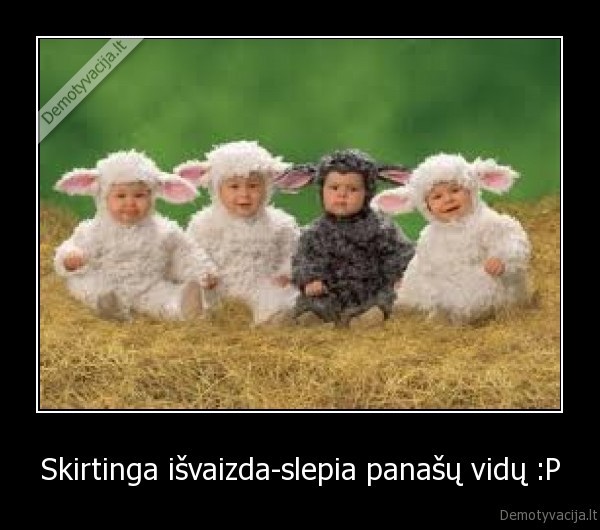 Skirtinga išvaizda-slepia panašų vidų :P