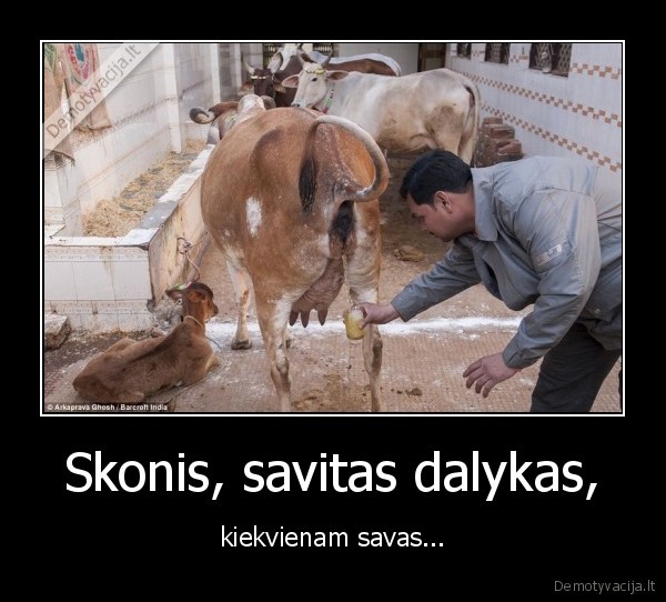 Skonis, savitas dalykas,