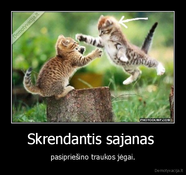 Skrendantis sajanas 