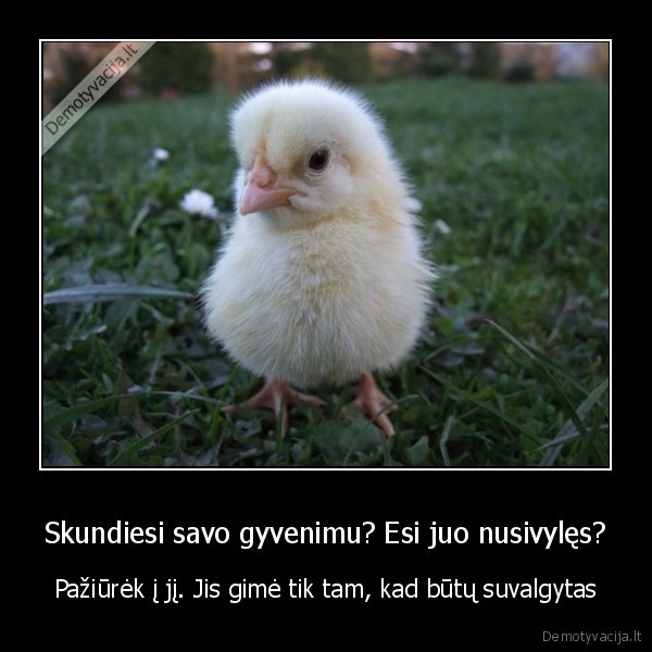 Skundiesi savo gyvenimu? Esi juo nusivylęs?