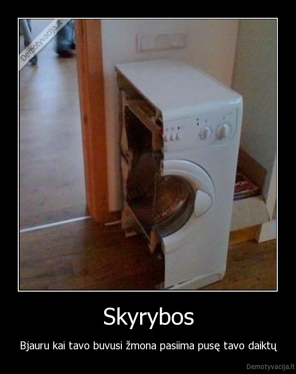 Skyrybos