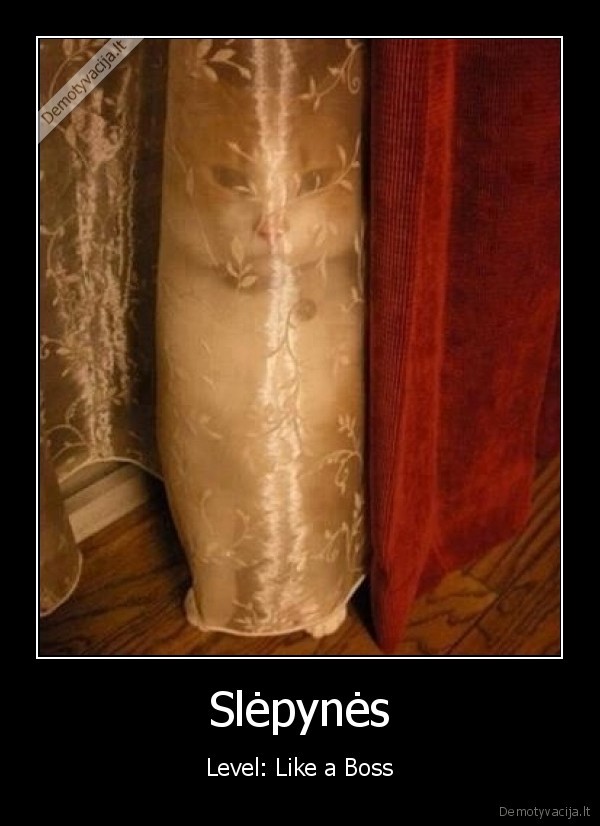 Slėpynės