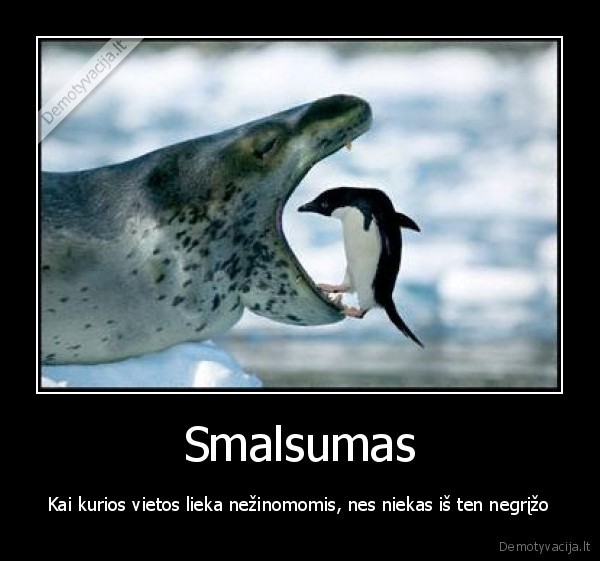 smalsumas