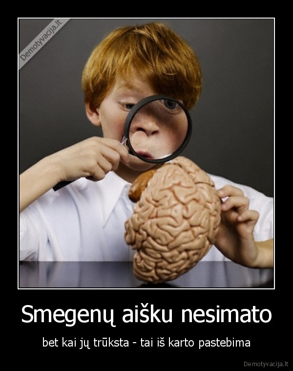Smegenų aišku nesimato