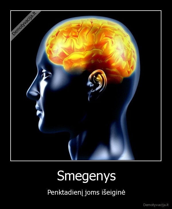 Smegenys