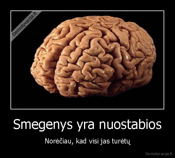Smegenys yra nuostabios