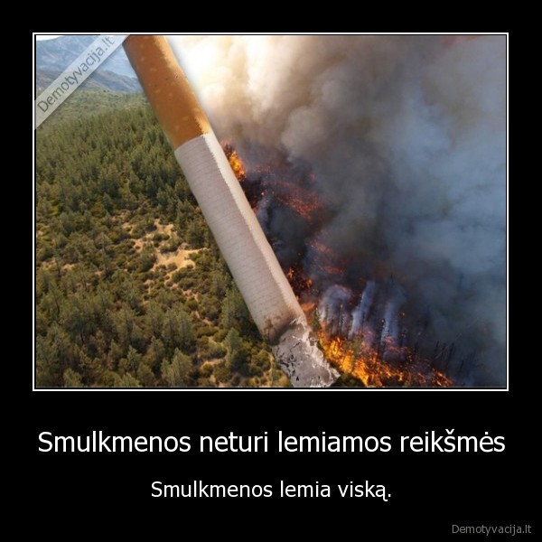 smulkmenos,nuoruka,miskas,gaisras