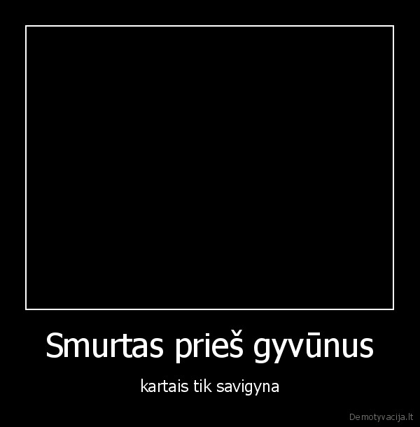 sunys,gyvunai,savigyna,uzpuole