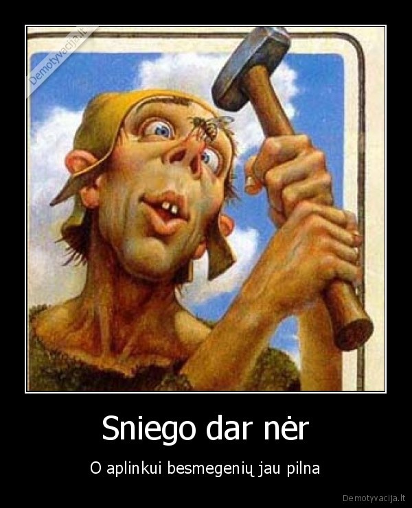 Sniego dar nėr