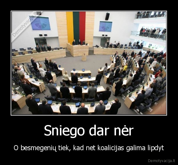 sniegas,seimas