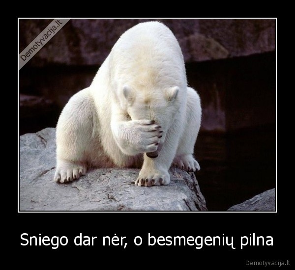 Sniego dar nėr, o besmegenių pilna