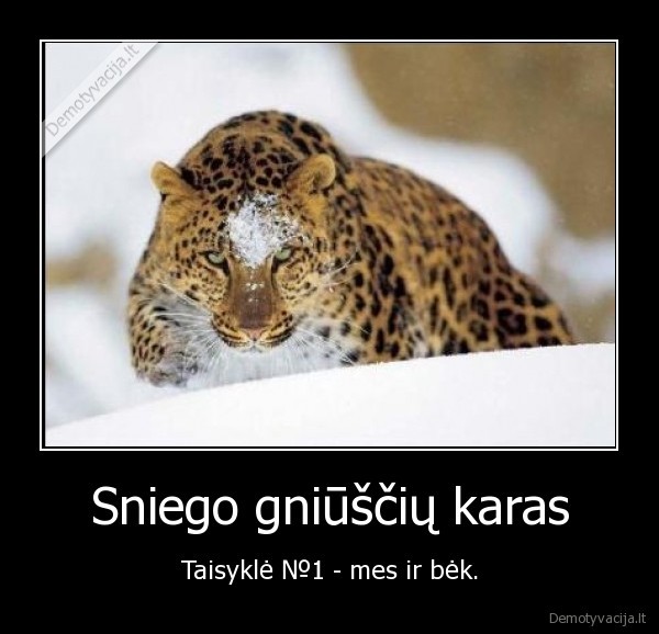 owned