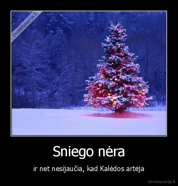 sniegas,kaledos