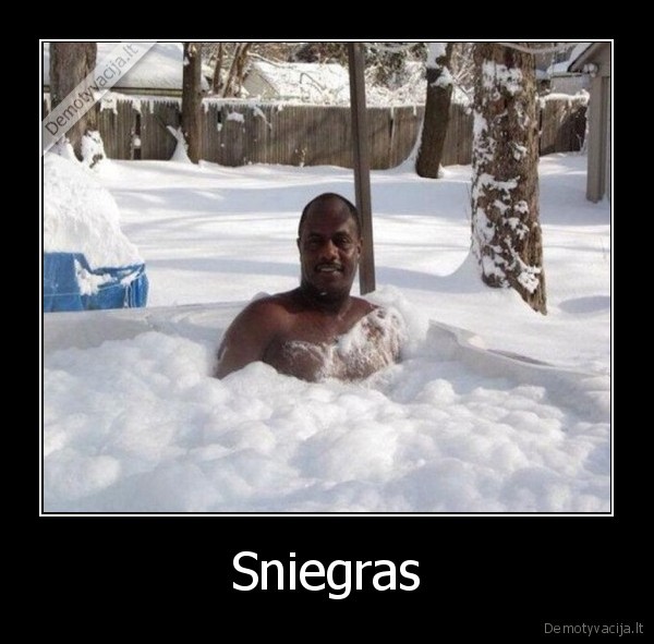juodaodis, sniege,sniegas,juodukas