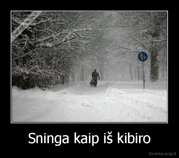 sniegas,balandis