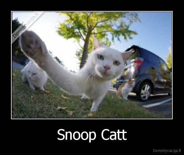 muzika,snoop,dogg