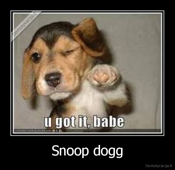 Snoop dogg