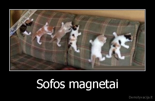 Sofos magnetai
