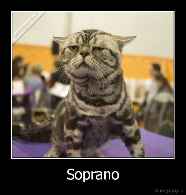Soprano