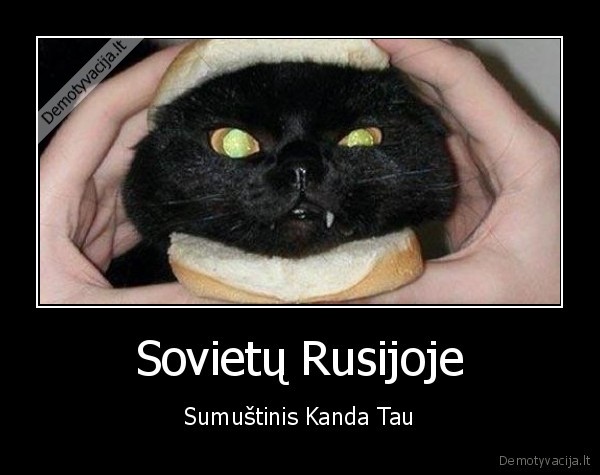 Sovietų Rusijoje