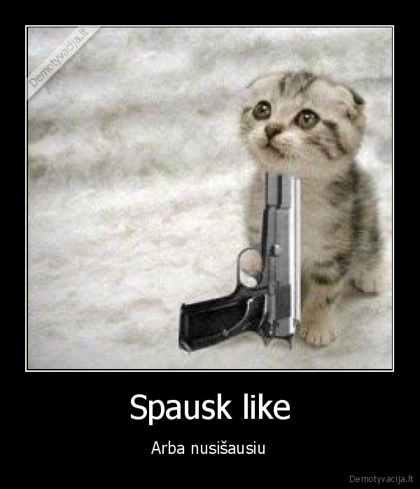 Spausk like