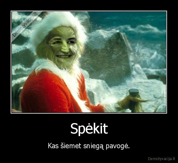 sniegas,loreta