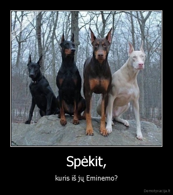 suo,eminem