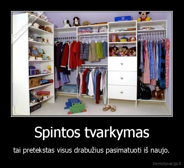 Spintos tvarkymas