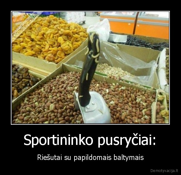 baltymai,lervos,kirmeles