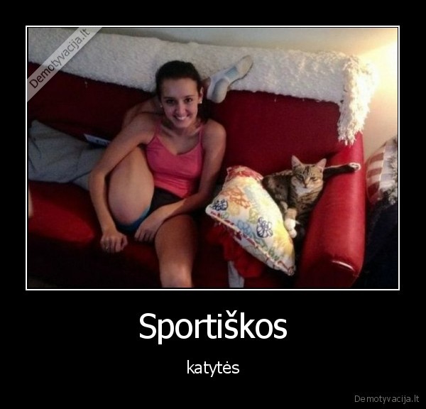 katytes