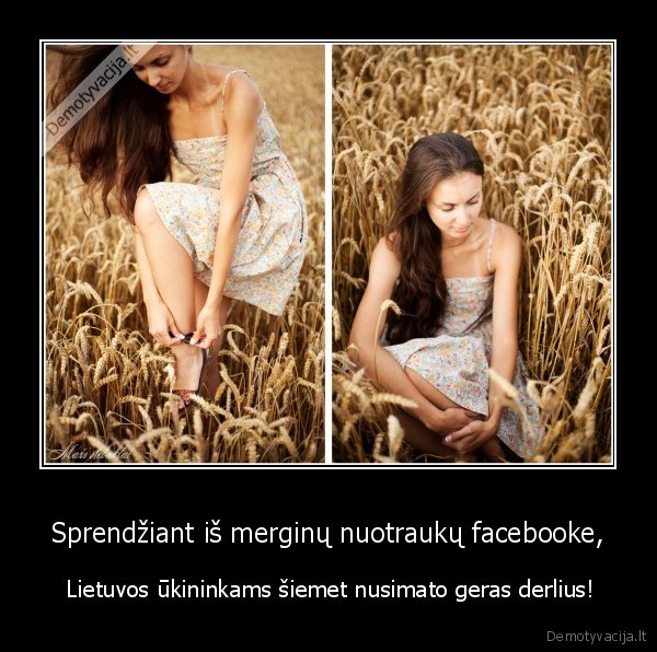 facebook,merginos,lietuva,ukininkai,derlius,grudai,nuotraukos
