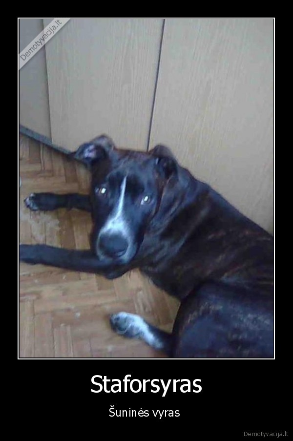suo,vyras