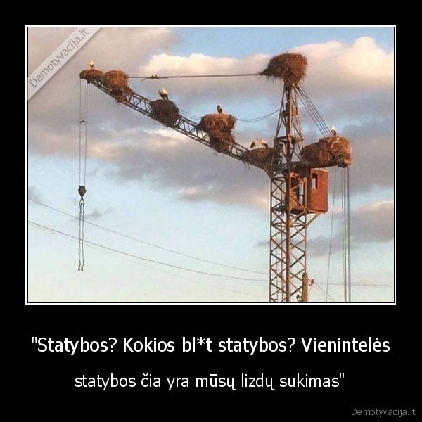 gandrai,statybos,kranas
