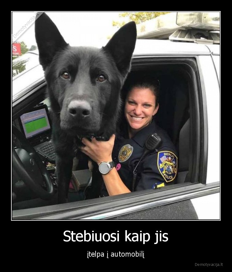 gyvunai,sunys,policija