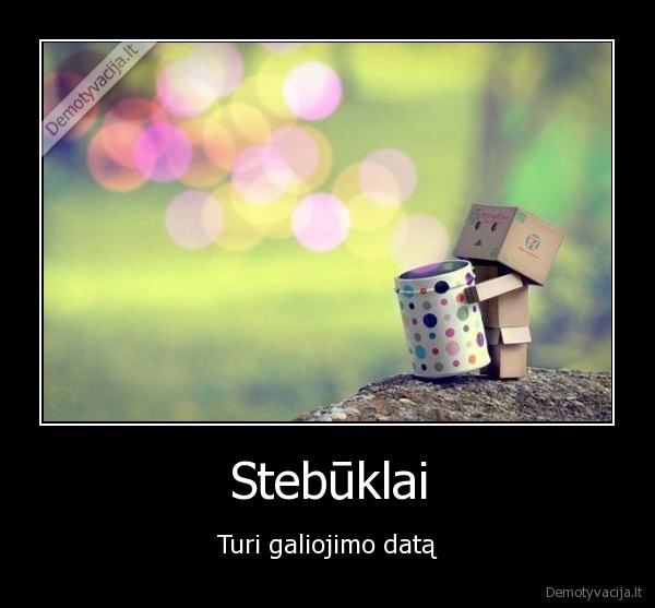 Stebūklai