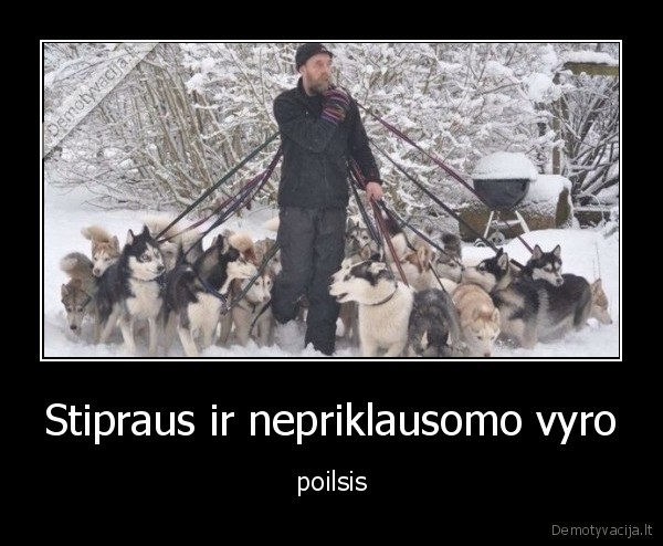 vyras,sunys