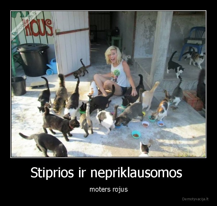 katinai,moteris,stipri,nepriklausoma