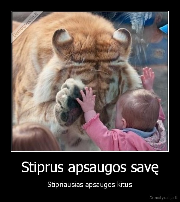 Stiprus apsaugos savę