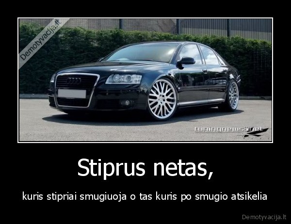 Stiprus netas,