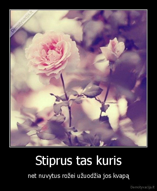 Stiprus tas kuris