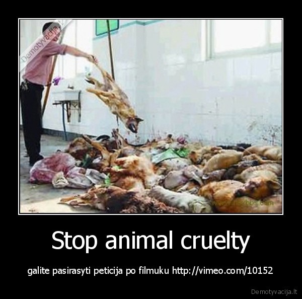 Stop animal cruelty