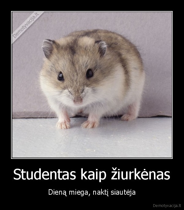 kubilius, neturi, ziurkeno