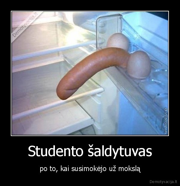 Studento šaldytuvas