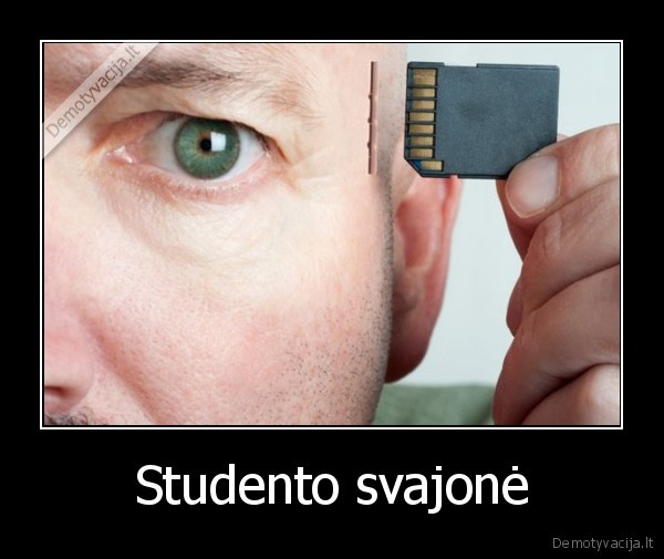 Studento svajonė