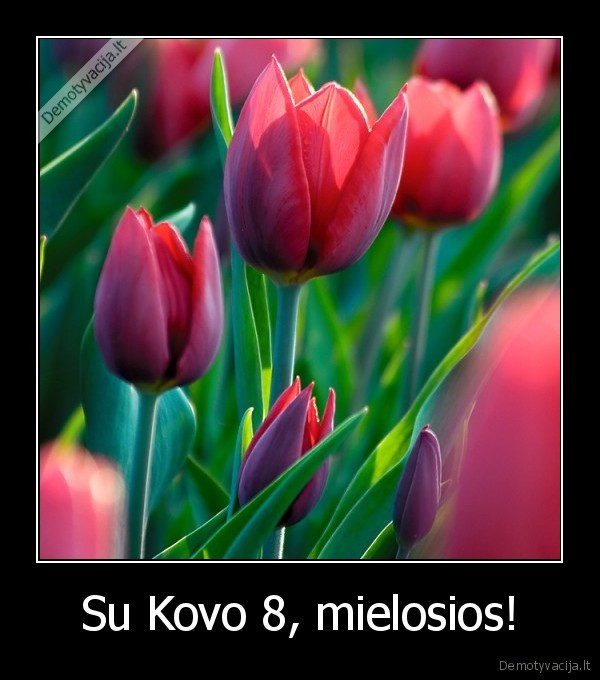 Su Kovo 8, mielosios!