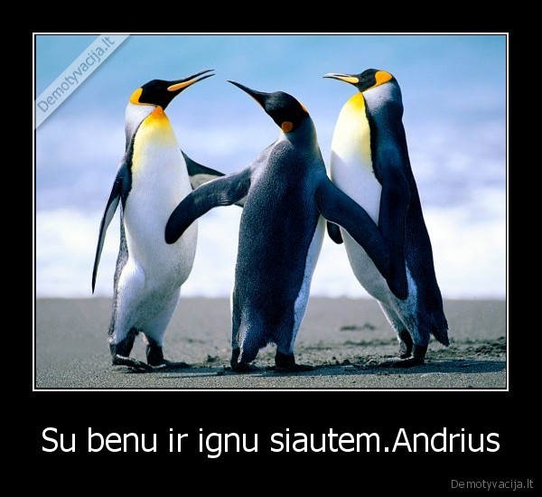 Su benu ir ignu siautem.Andrius