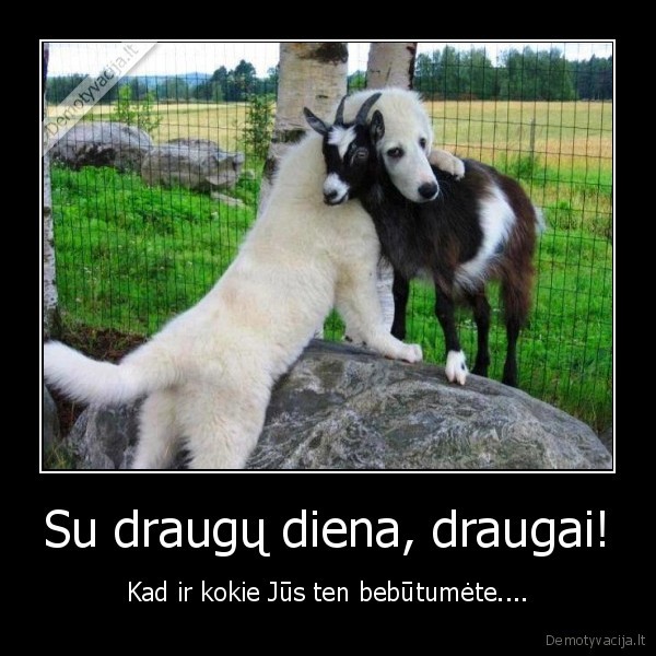 Su draugų diena, draugai!